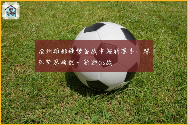 沧州雄狮强势备战中超新赛季，球队阵容焕然一新迎挑战